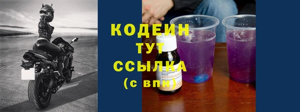 мет Карпинск