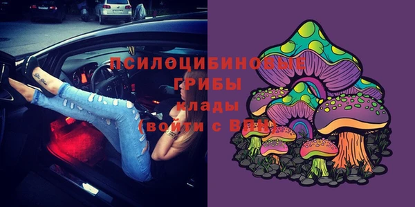 ALPHA PVP Касимов